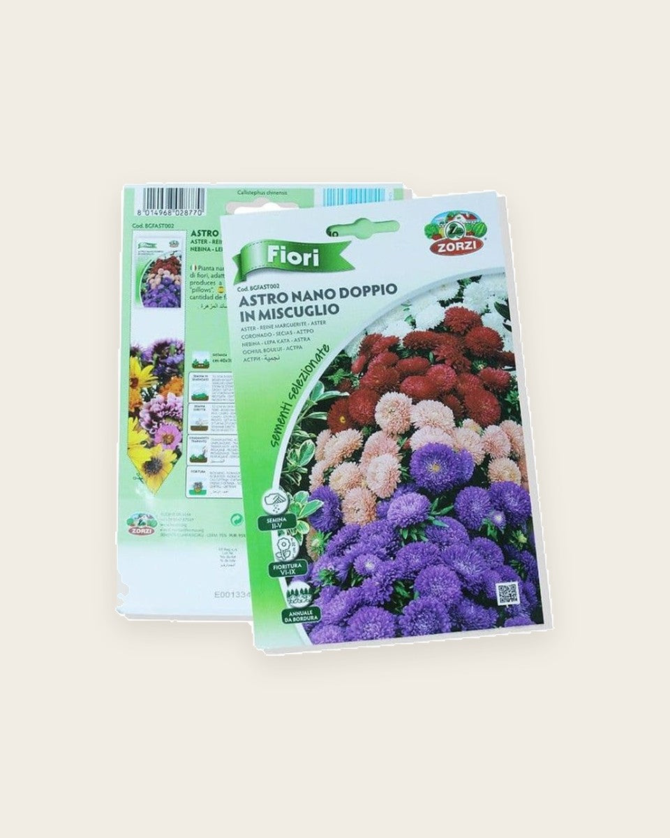Aster Seeds – Double Flower Mix