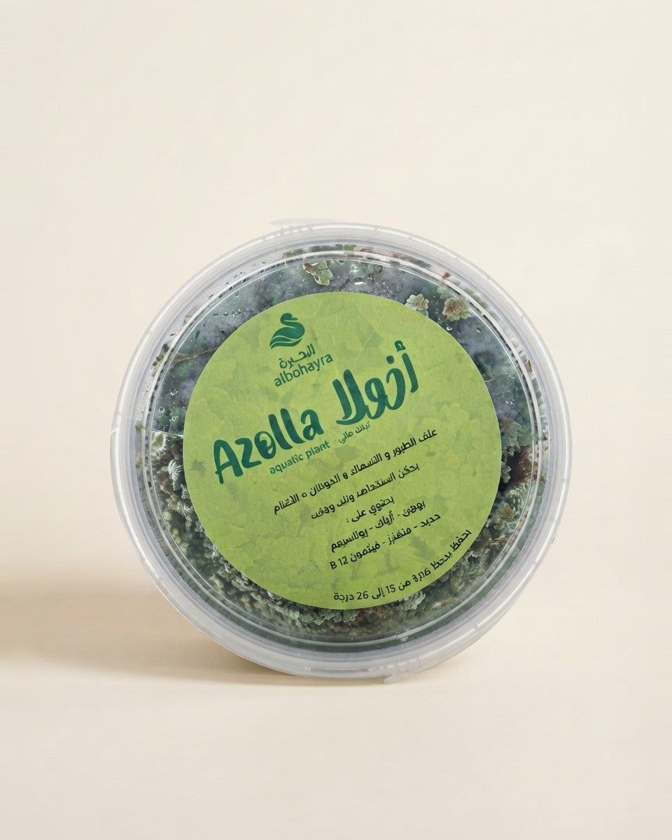 Azolla أزولا