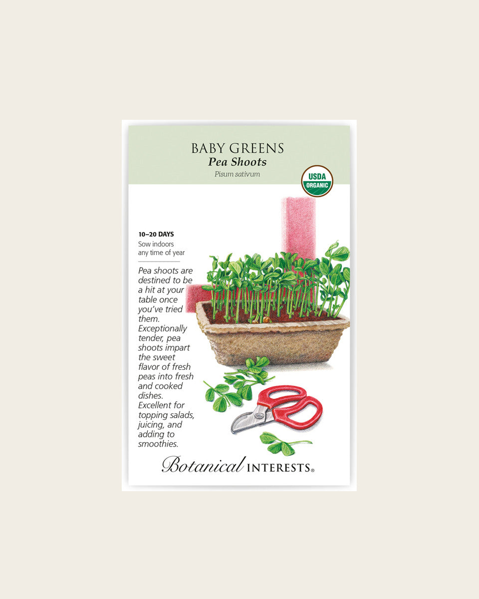 Baby Greens, Pea Shoots Baby Greens Seeds – Organic