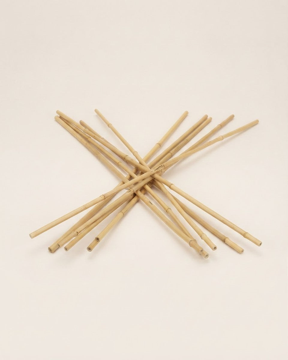 Bamboo Cane 90cm 10pc