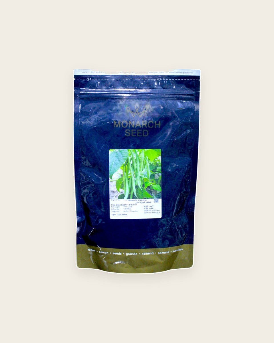 Bean 'Safeer' Seeds فاصوليا سفير