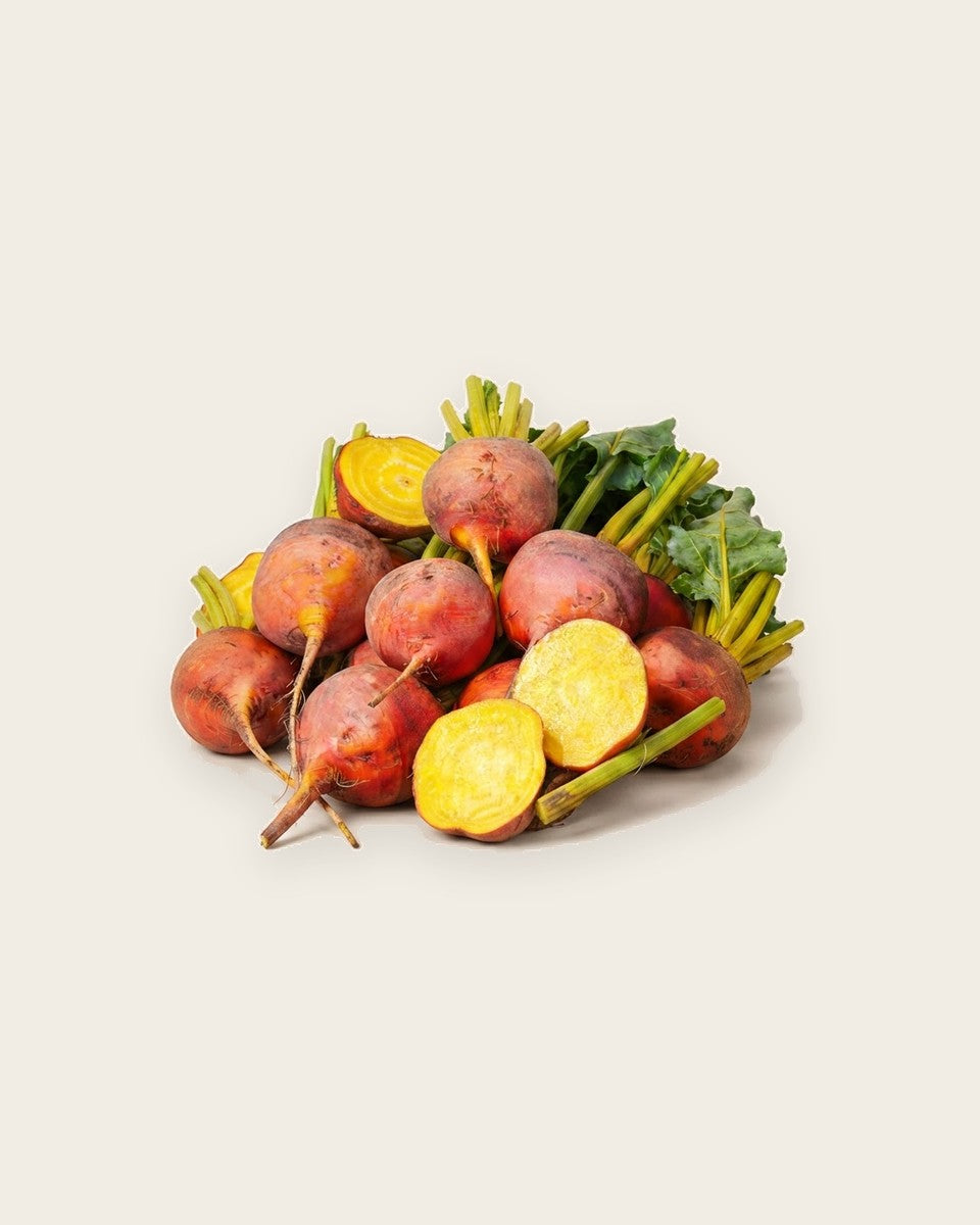 Beetroot Golden Detroit