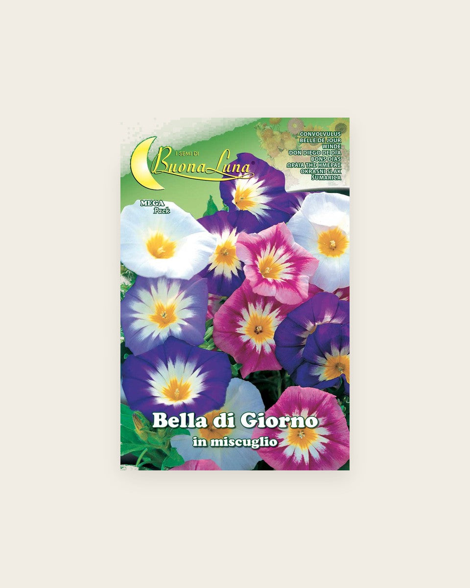 Bella Di Giorno