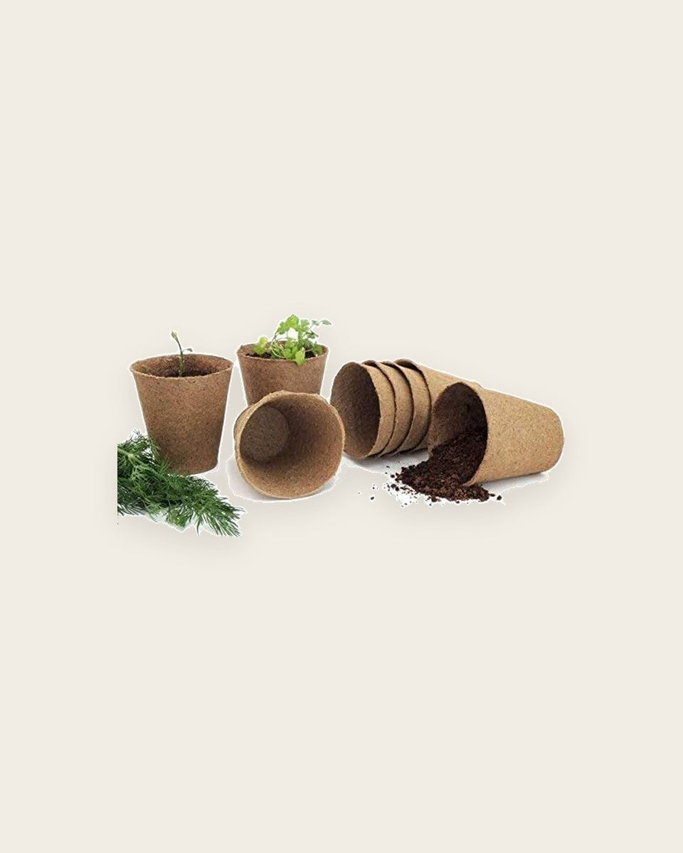 Biodegradable Plant Pot - Pack Of 30