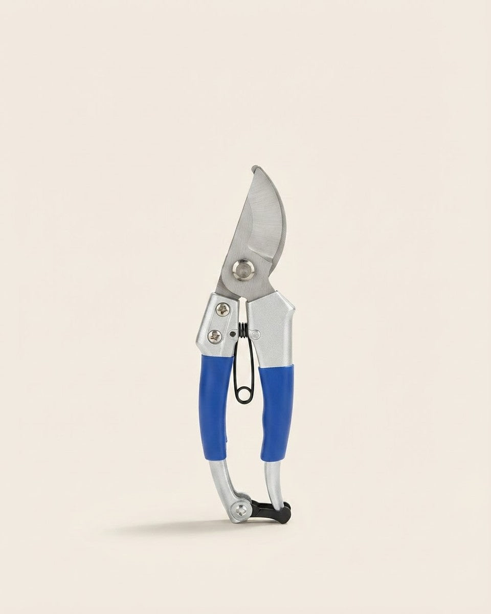 Blue Cutter