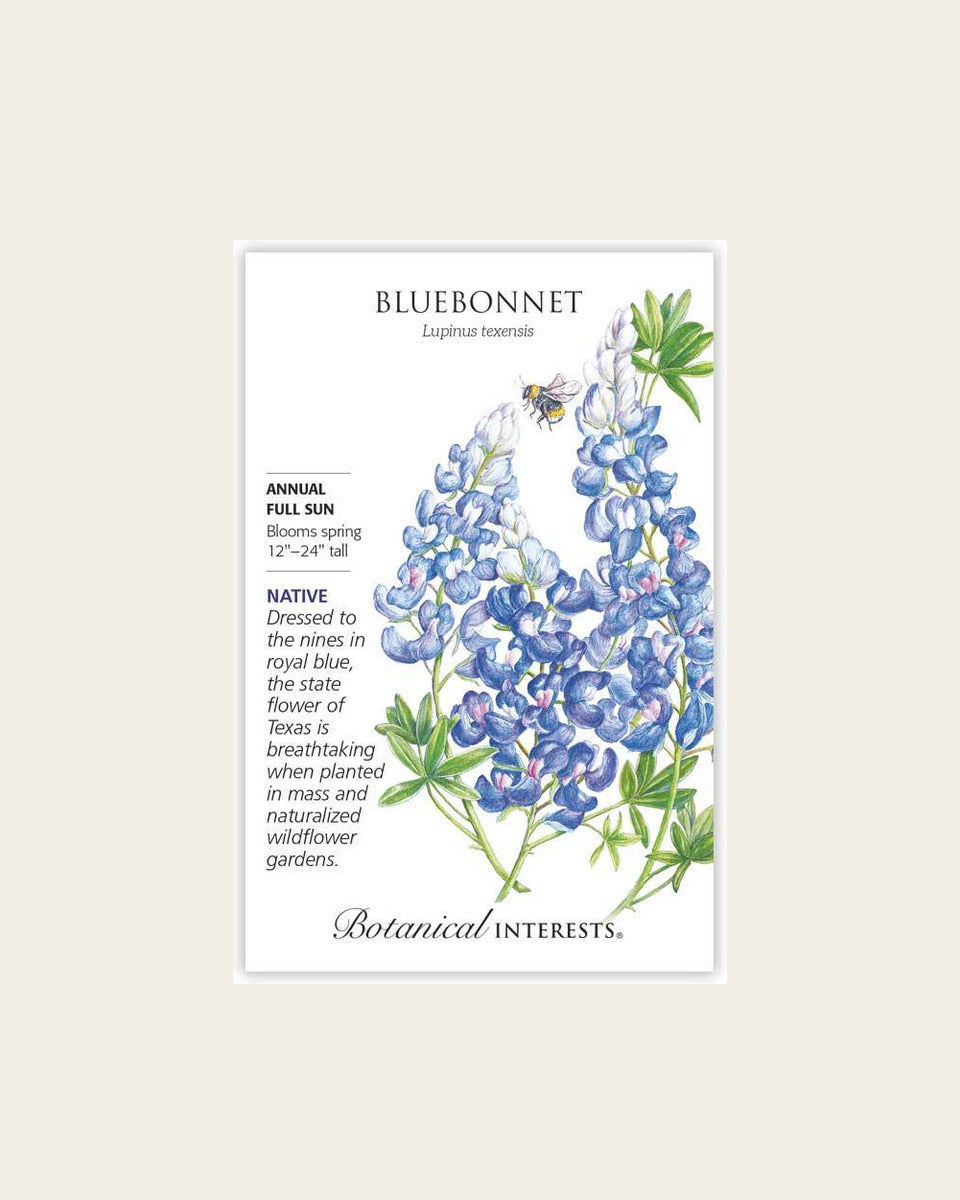 Bluebonnet Seeds – Heirloom, Native