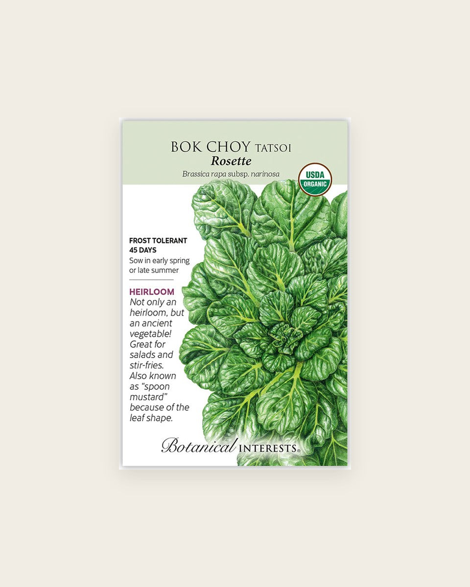 Bok Choy, Rosette Tatsoi Bok Choy Seeds – Organic, Heirloom