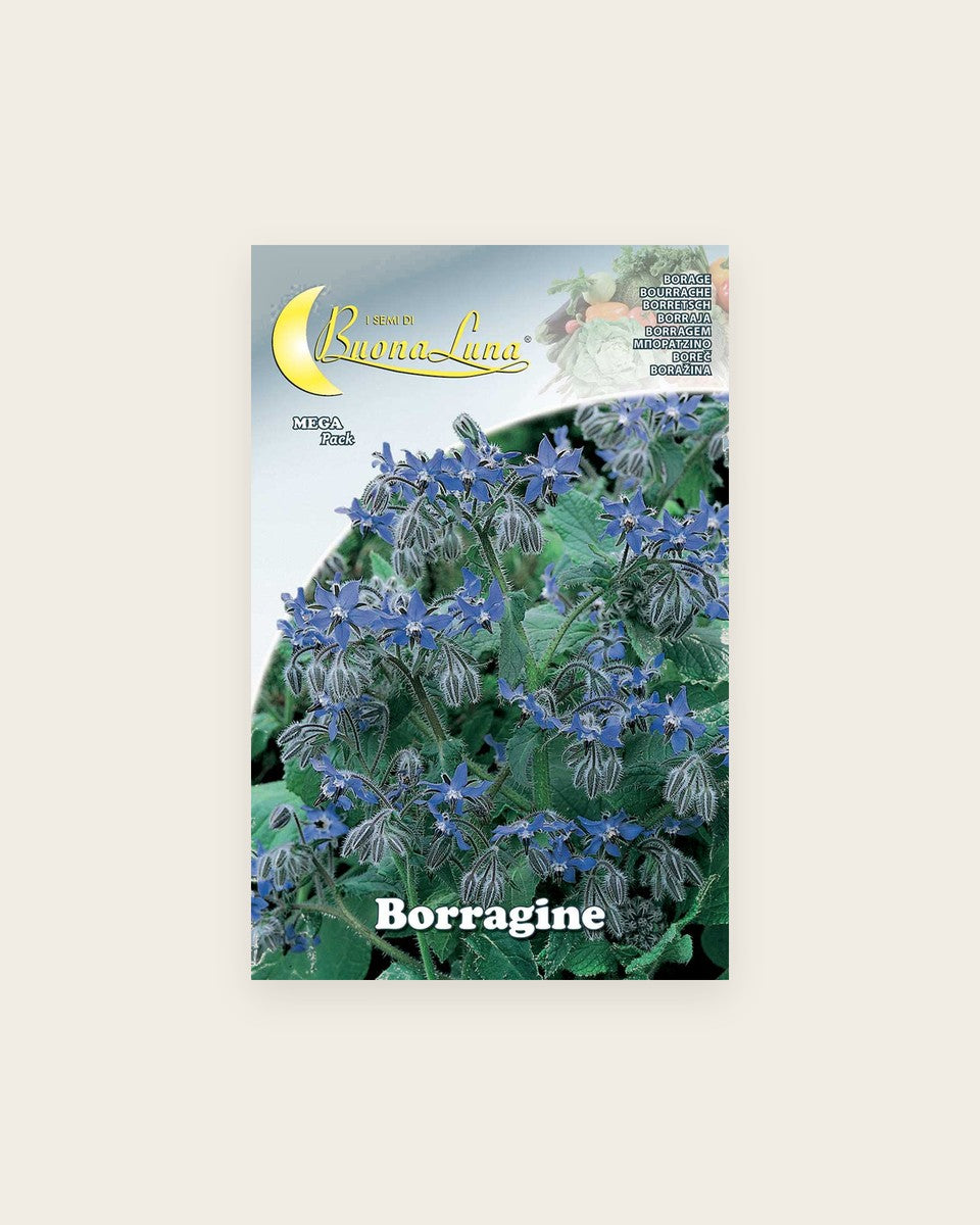 Borage