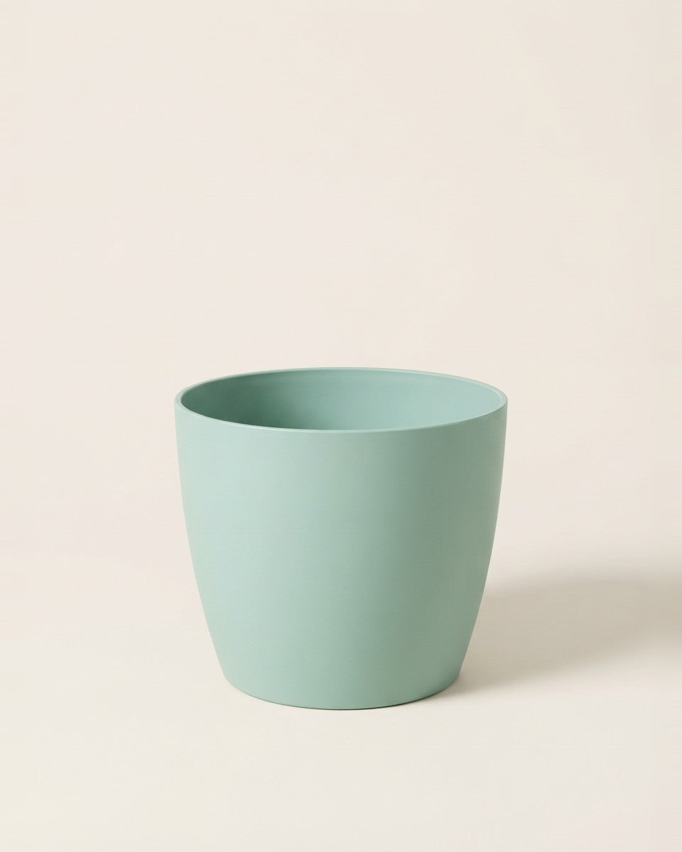 Round Pot - Mint