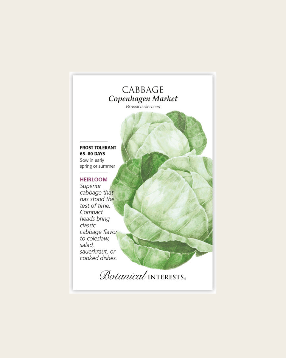 Cabbage, Copenhagen Market Cabbage Seeds – Heirloom