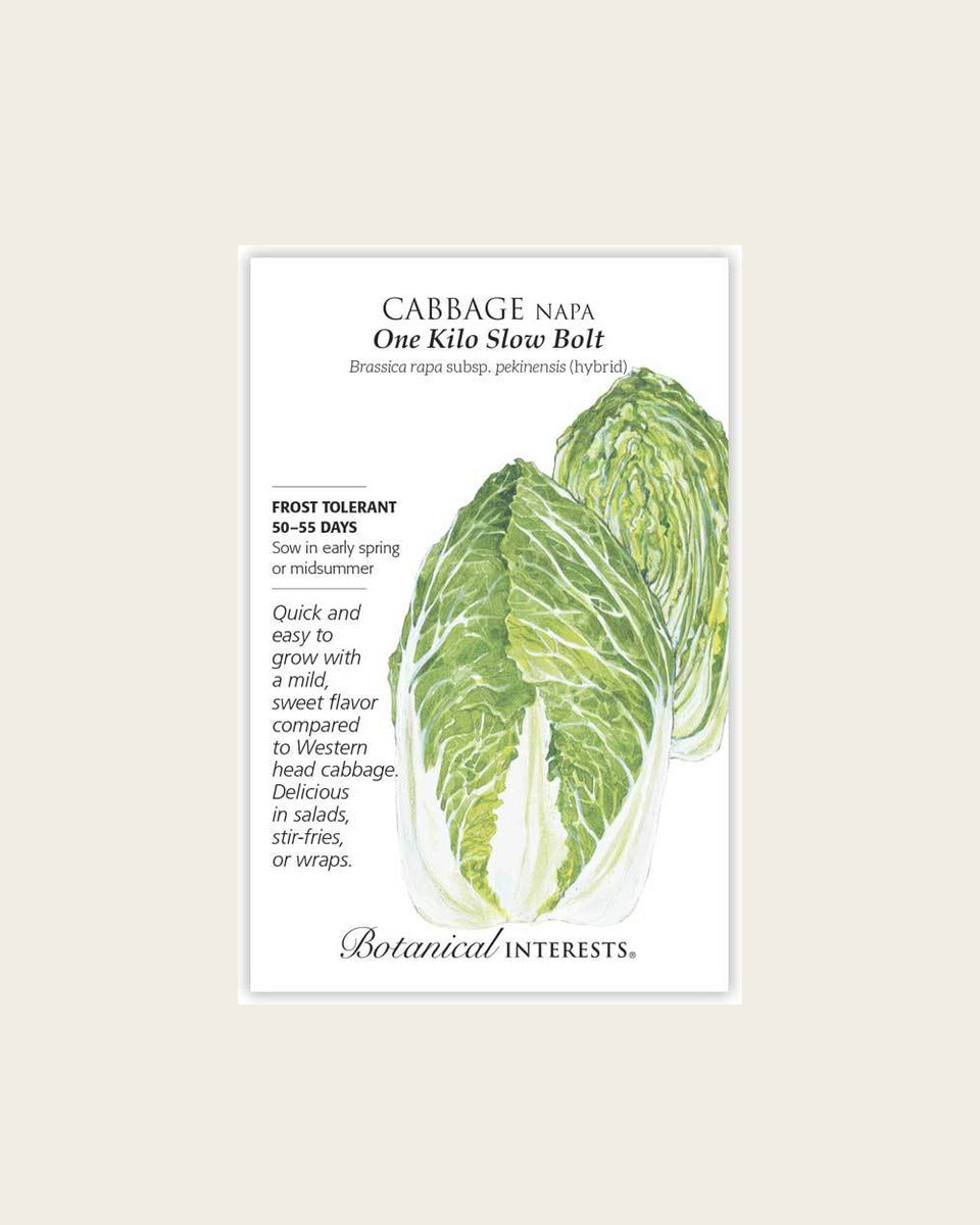 Cabbage, One Kilo Slow Bolt Napa Cabbage Seeds