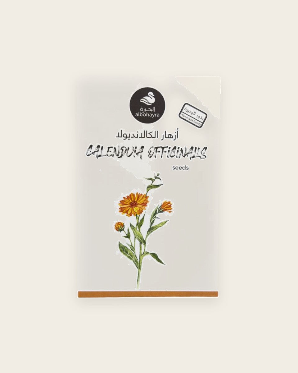 Calendula Officinalis Seeds بذور ازهار الكالانديولا