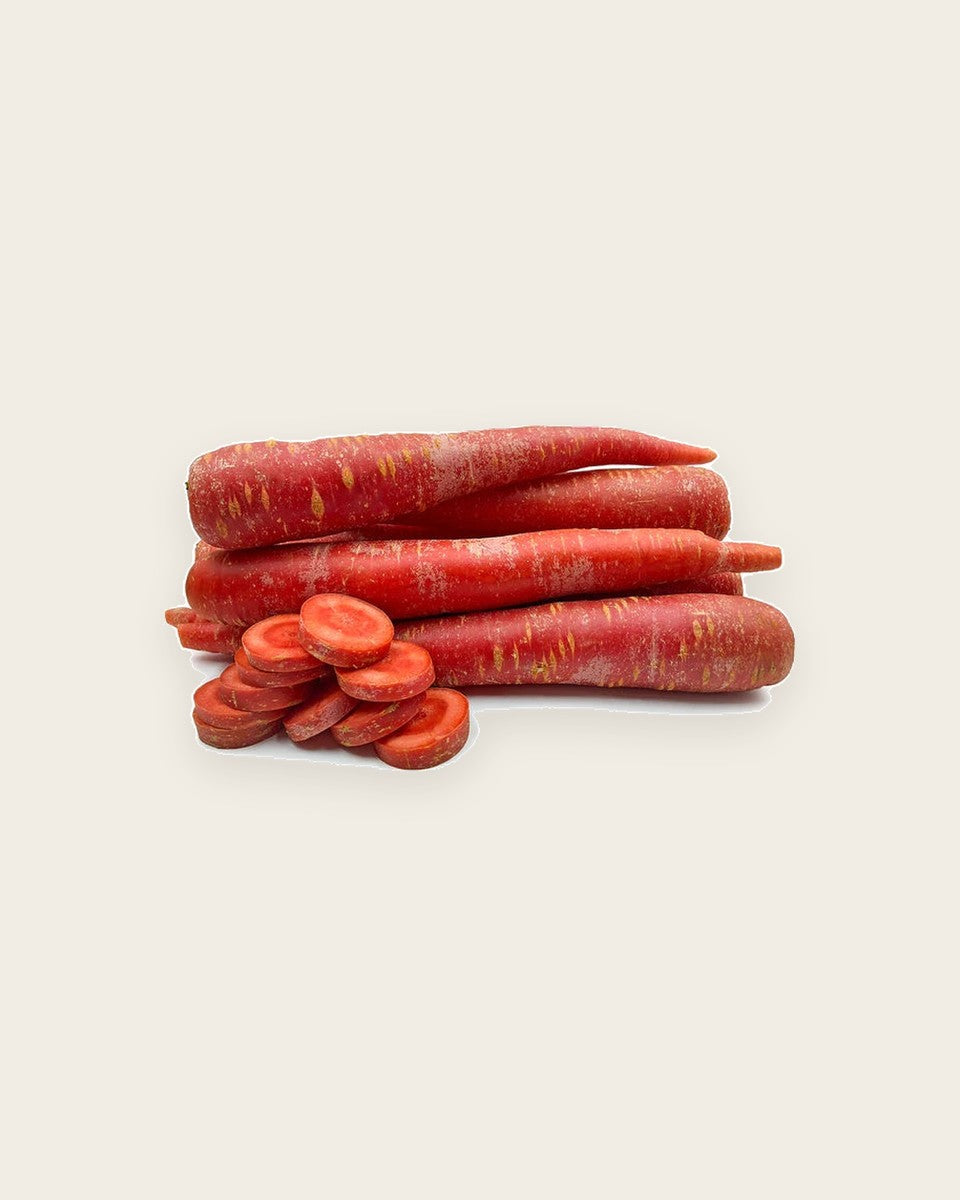 Carrot Red Seeds بذور الجزر