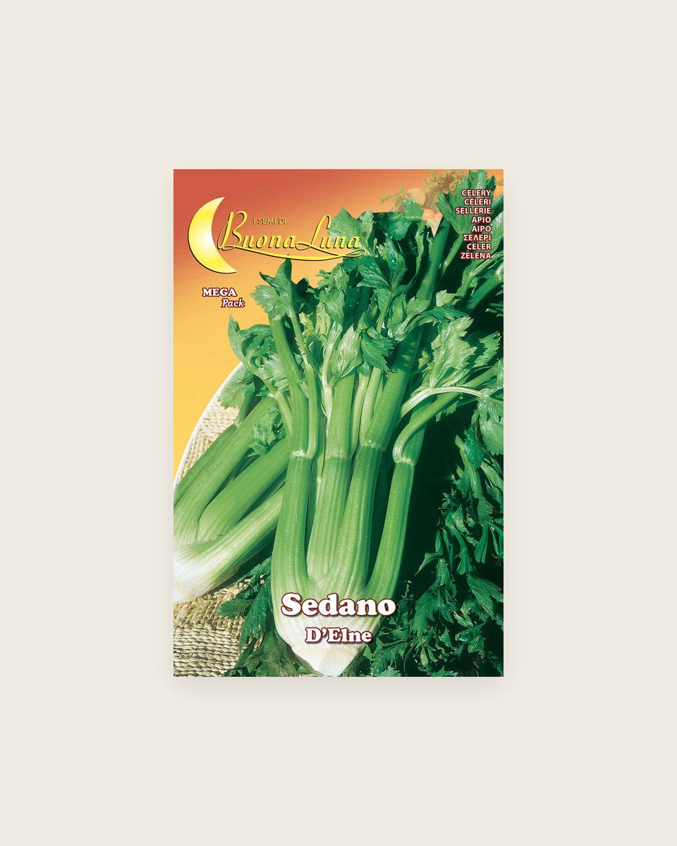 Celery 'd'Elne' Seeds كرفس دي إيلن