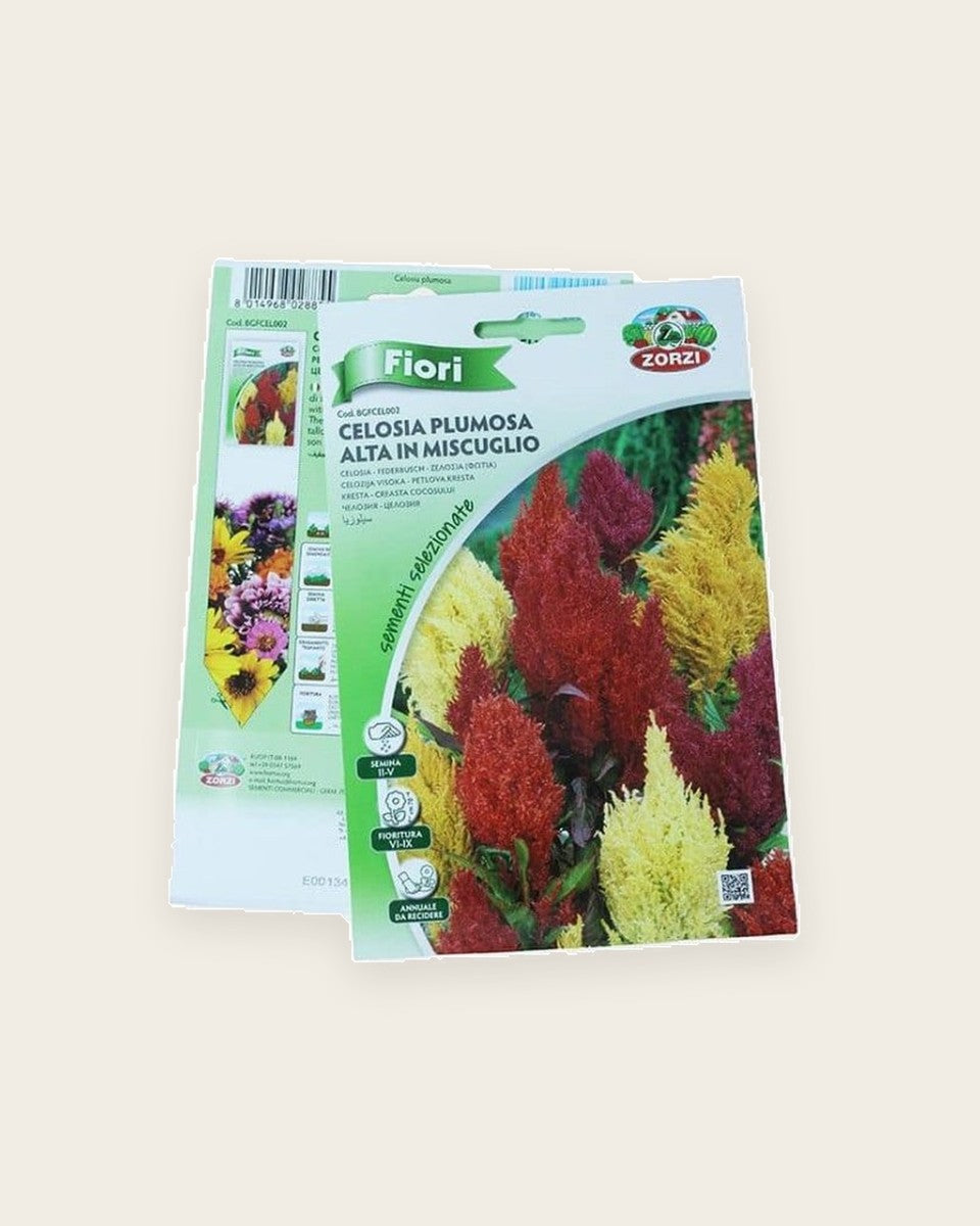 Celosia Flower Seeds (Cockscomb)