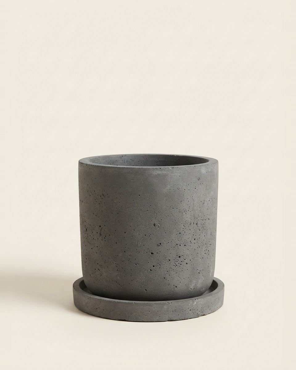 Cement planter with saucer حوض نباتات