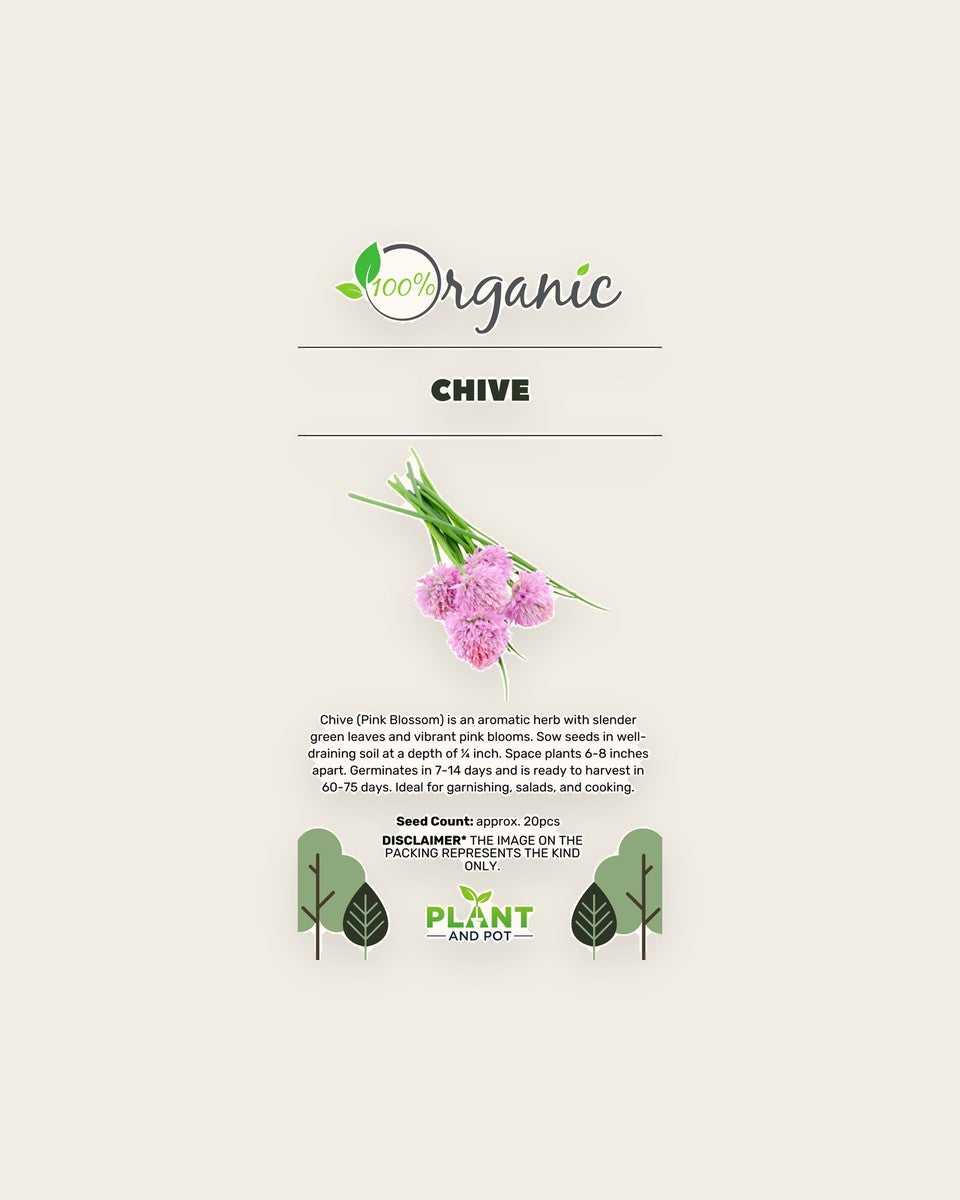 Chive Seeds بذور الثوم المعمر