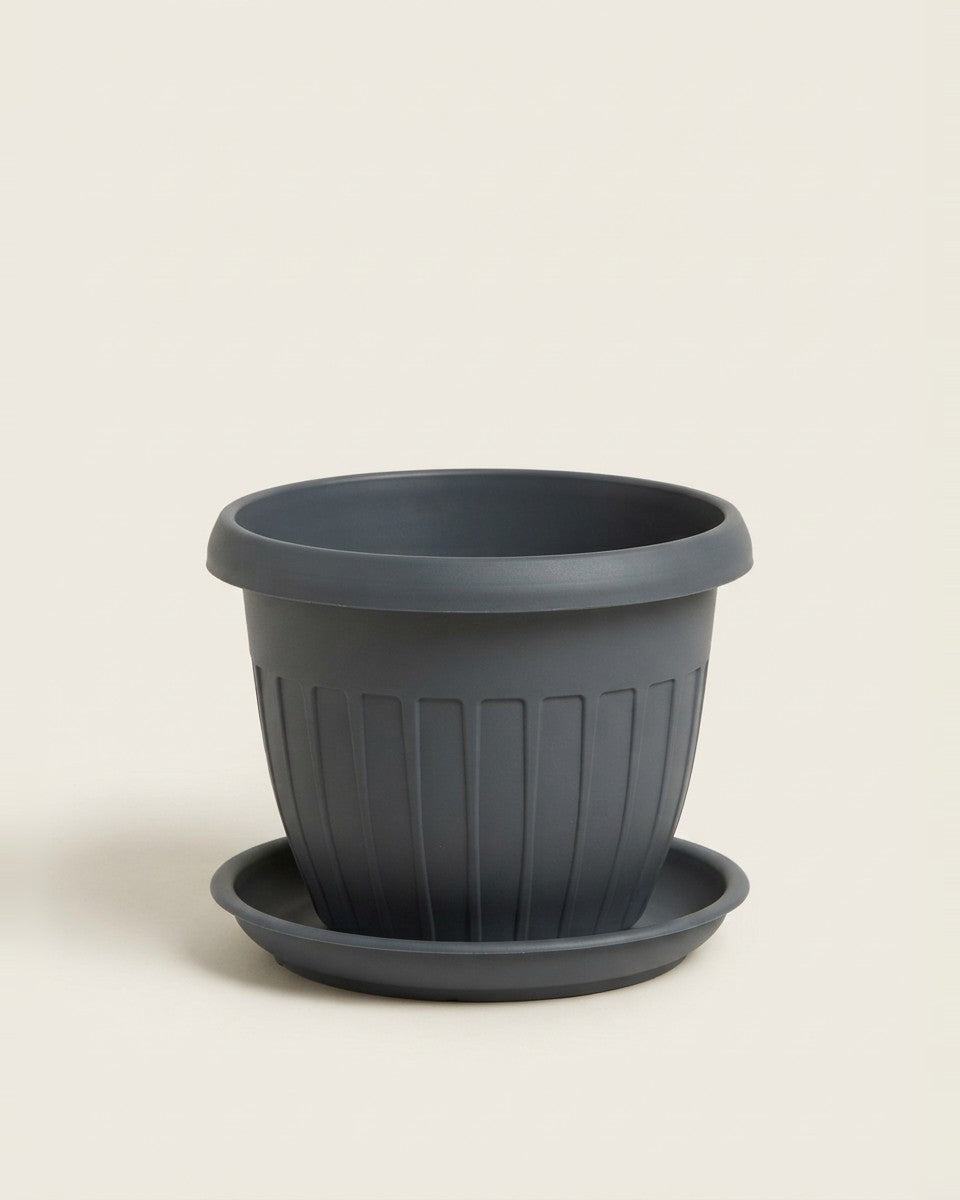Circle Pot 30Cm حوض نباتات