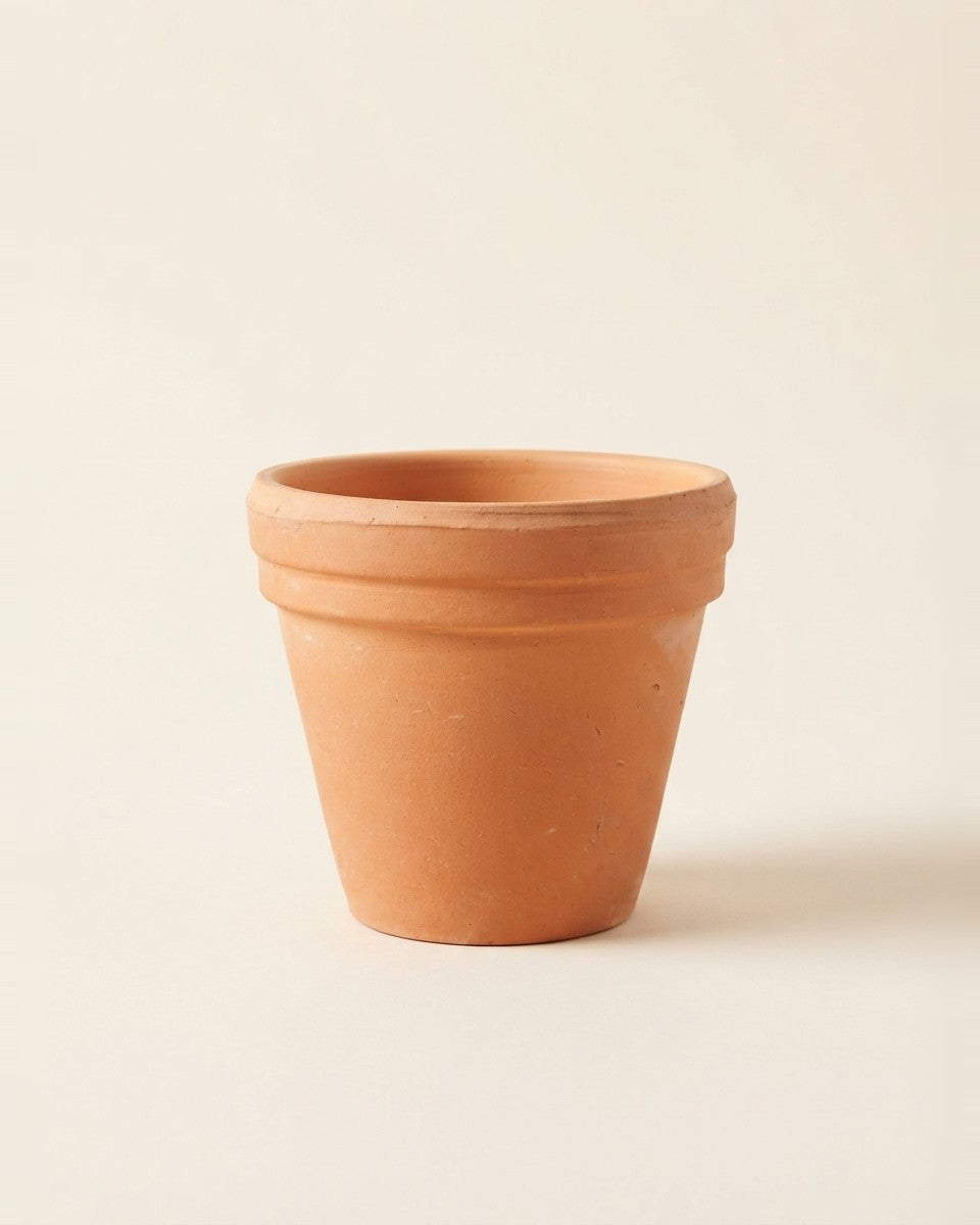 Classic Terracotta Pot حوض