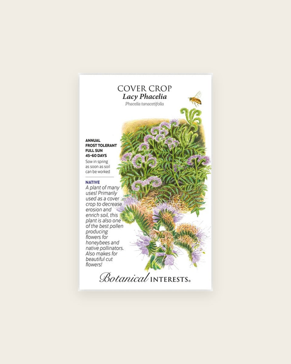 Cover Crop, Lacy Phacelia Cover Crop Seeds