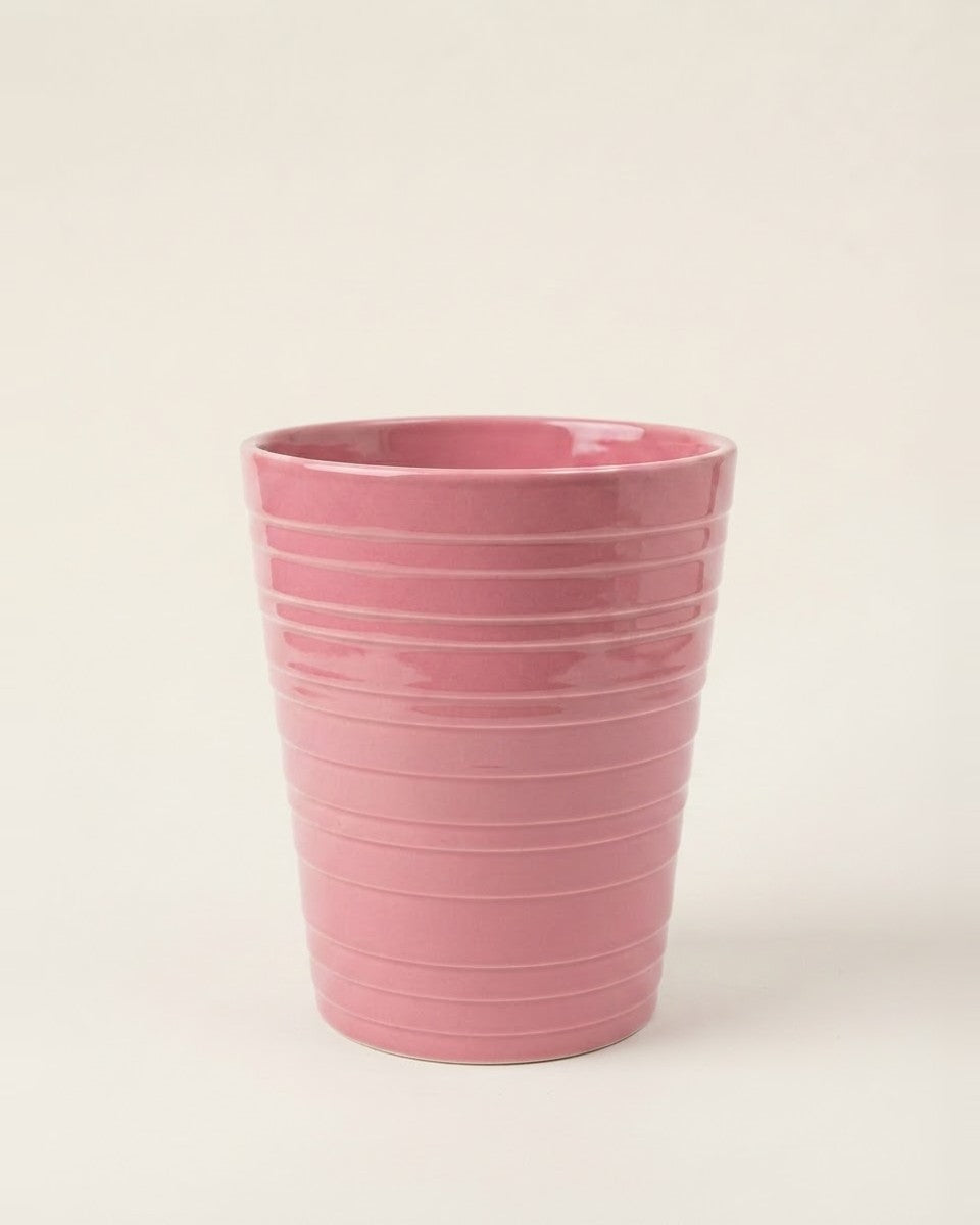 Deco Ceramic Pot ( Phalanopsis ) حوض نباتات
