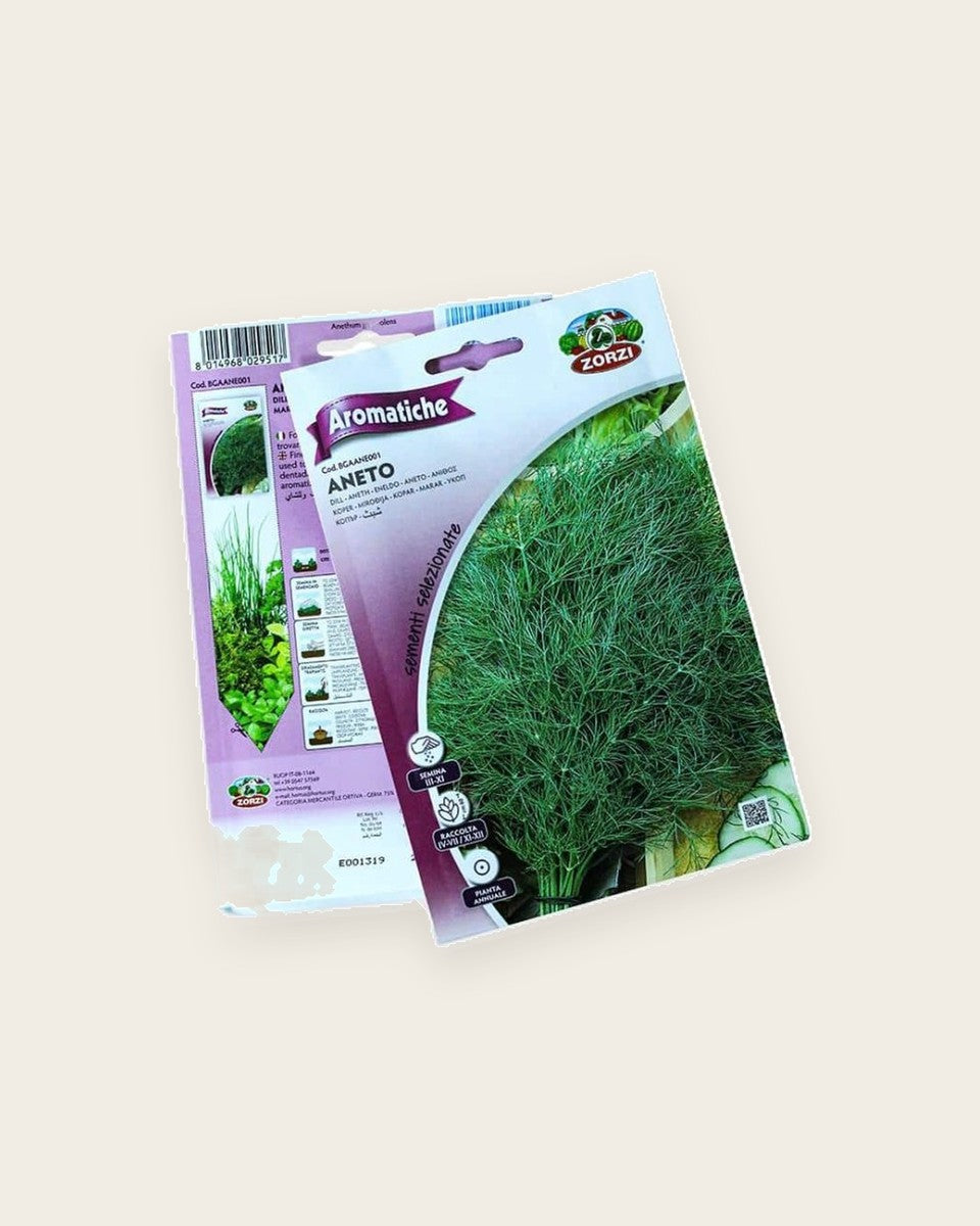 Dill Seeds