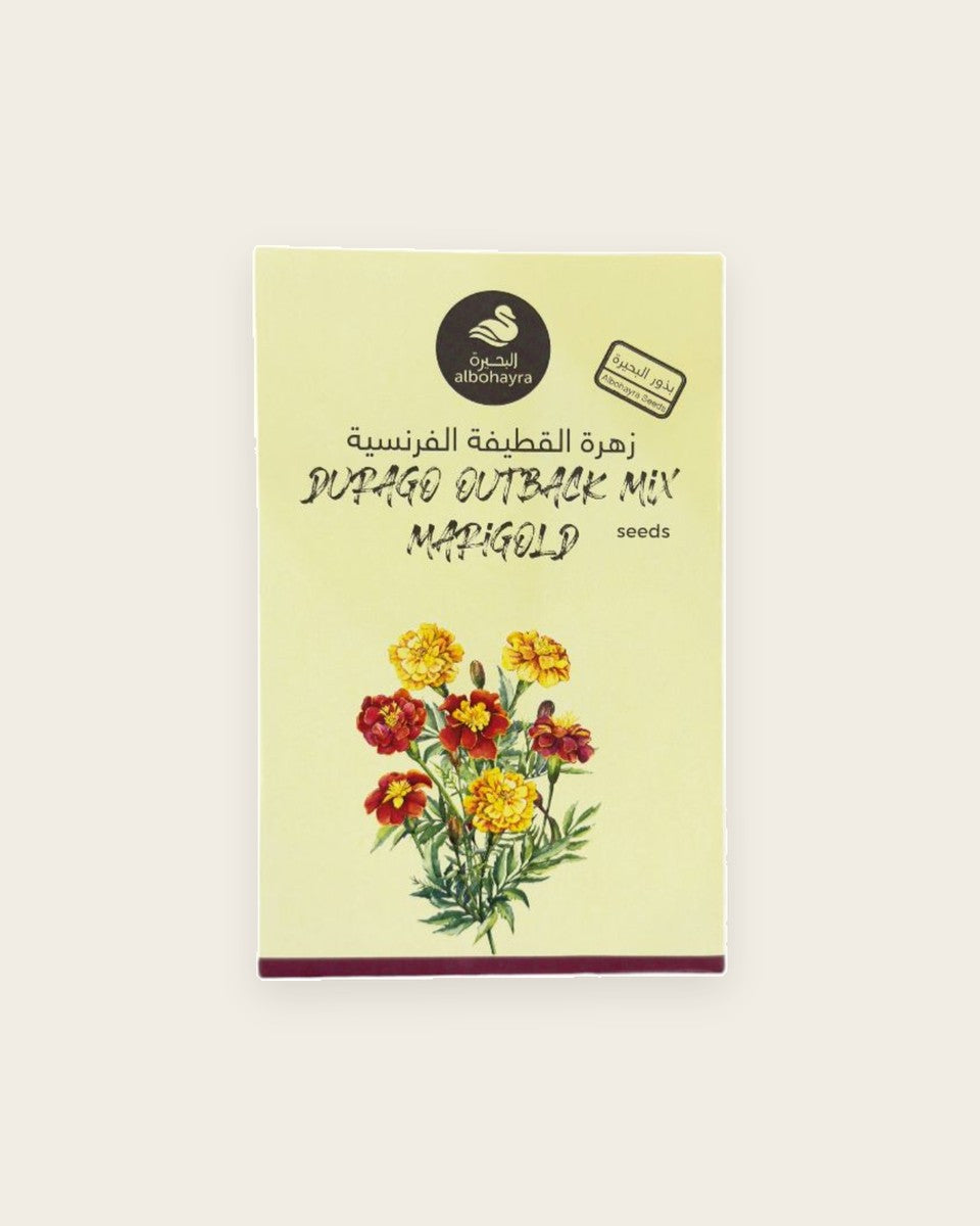 Durago Outback Mix Marigold Seeds بذور زهرة القطيفة الفرنسية