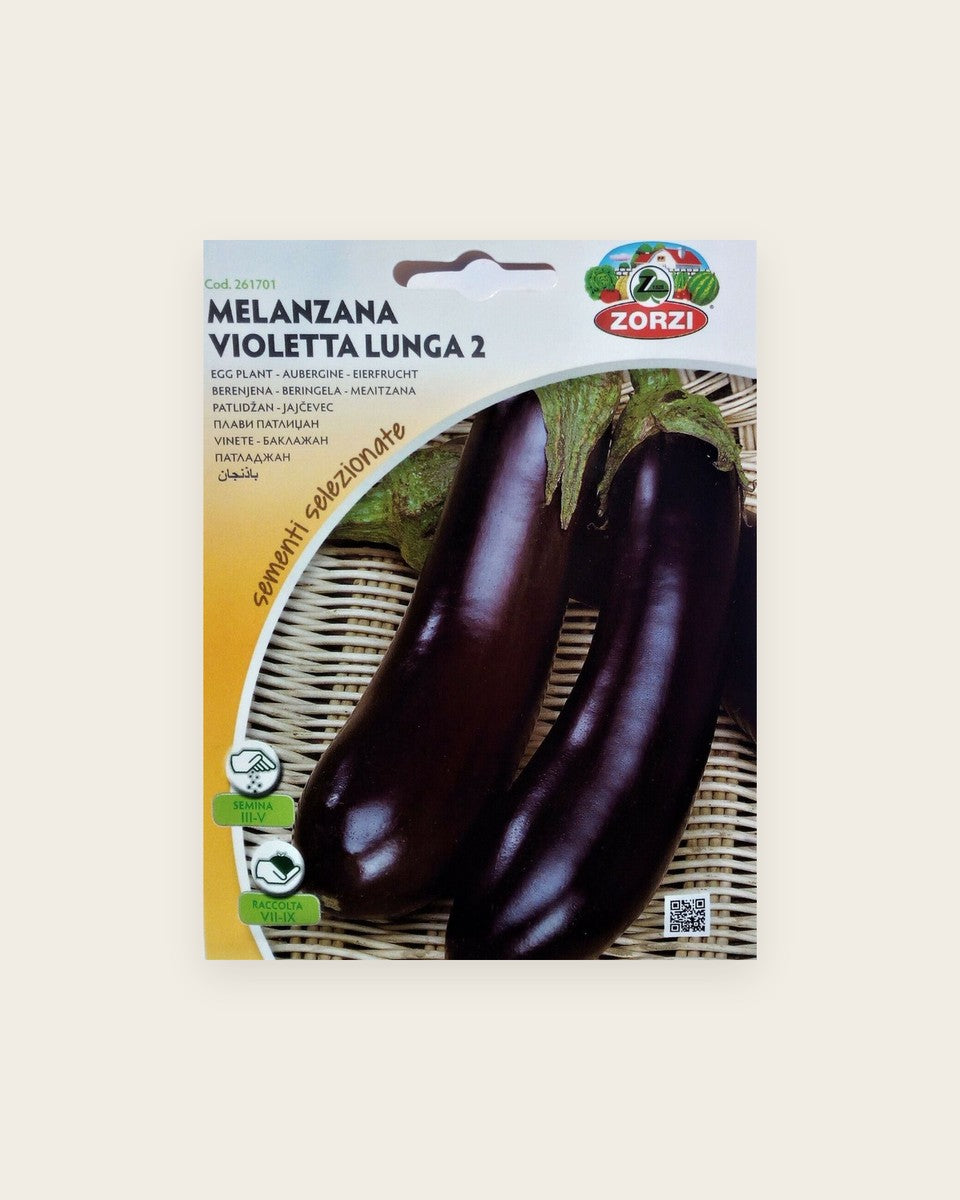 Eggplant Seeds