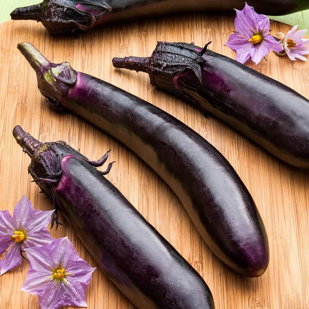Eggplant Long Purple - supplier photo