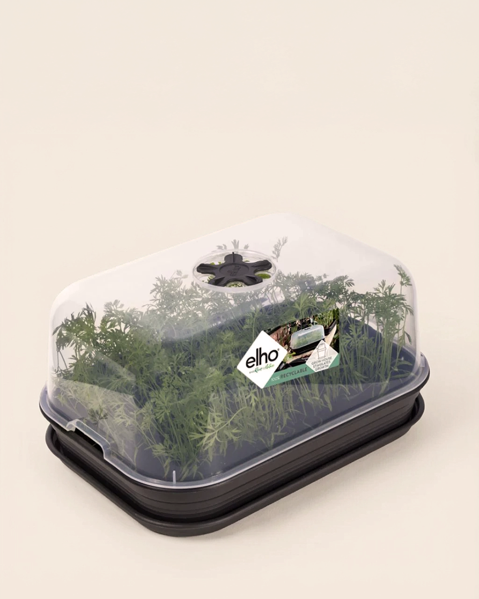 Elho Green Basics Grow House Kit (40 cm)