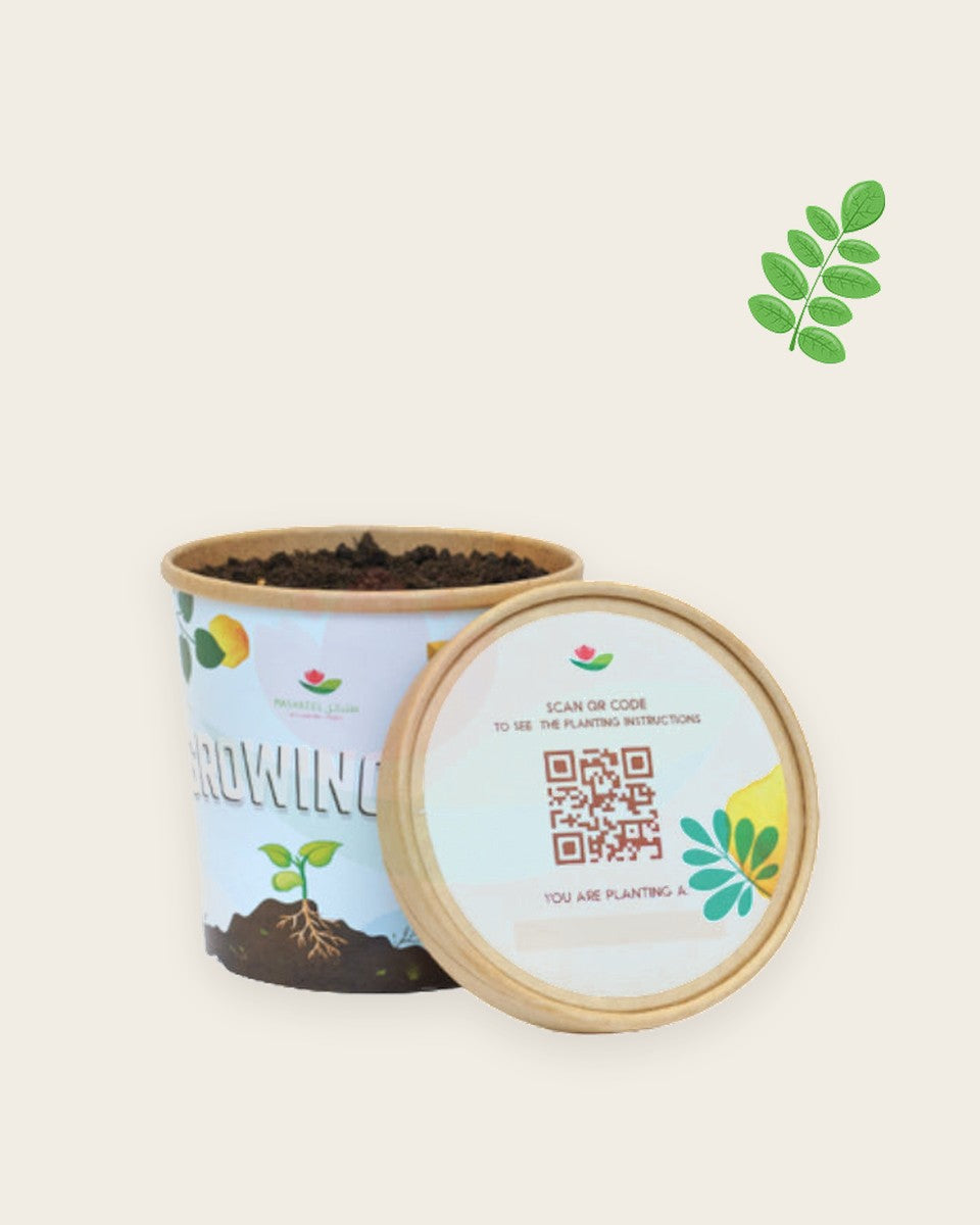 Fenugreek