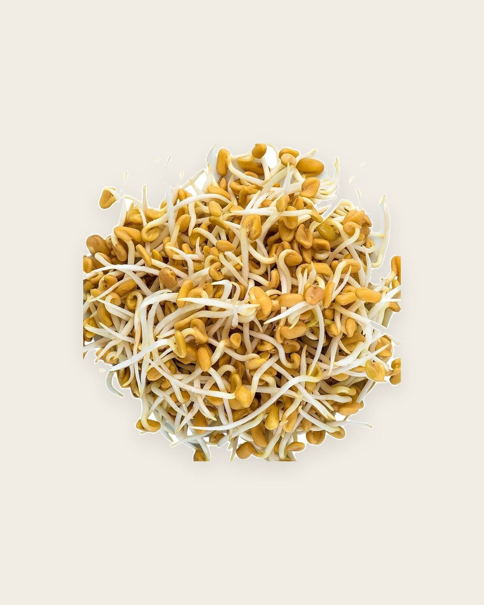 Fenugreek Seeds 110g