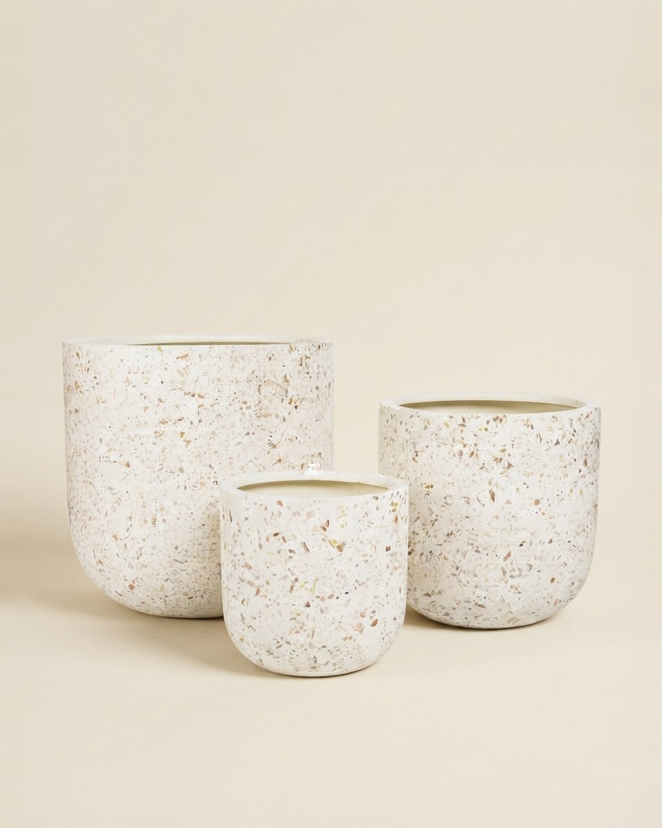 Seashell terrazzo White