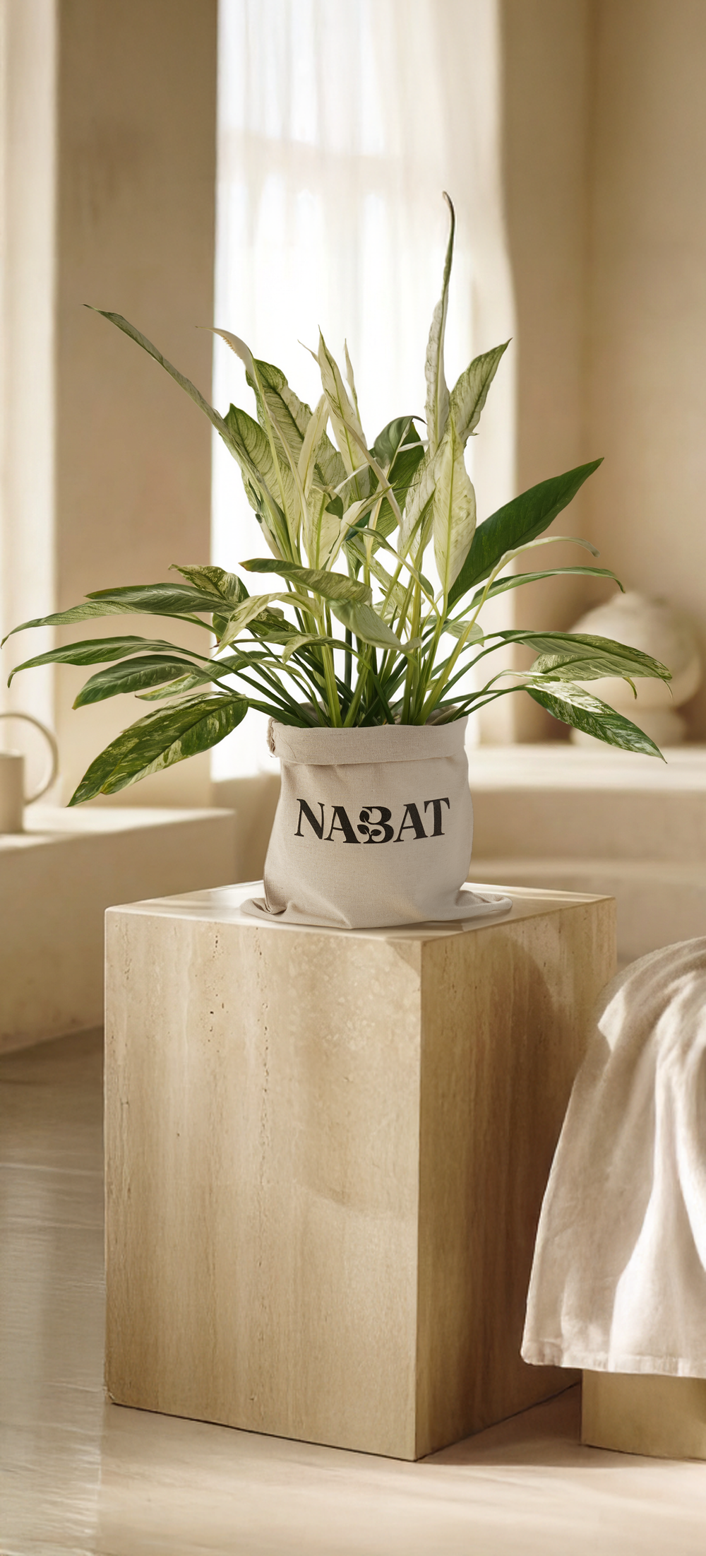 Potted plant on a wooden cube with 'Nabat' branding in a room setting.