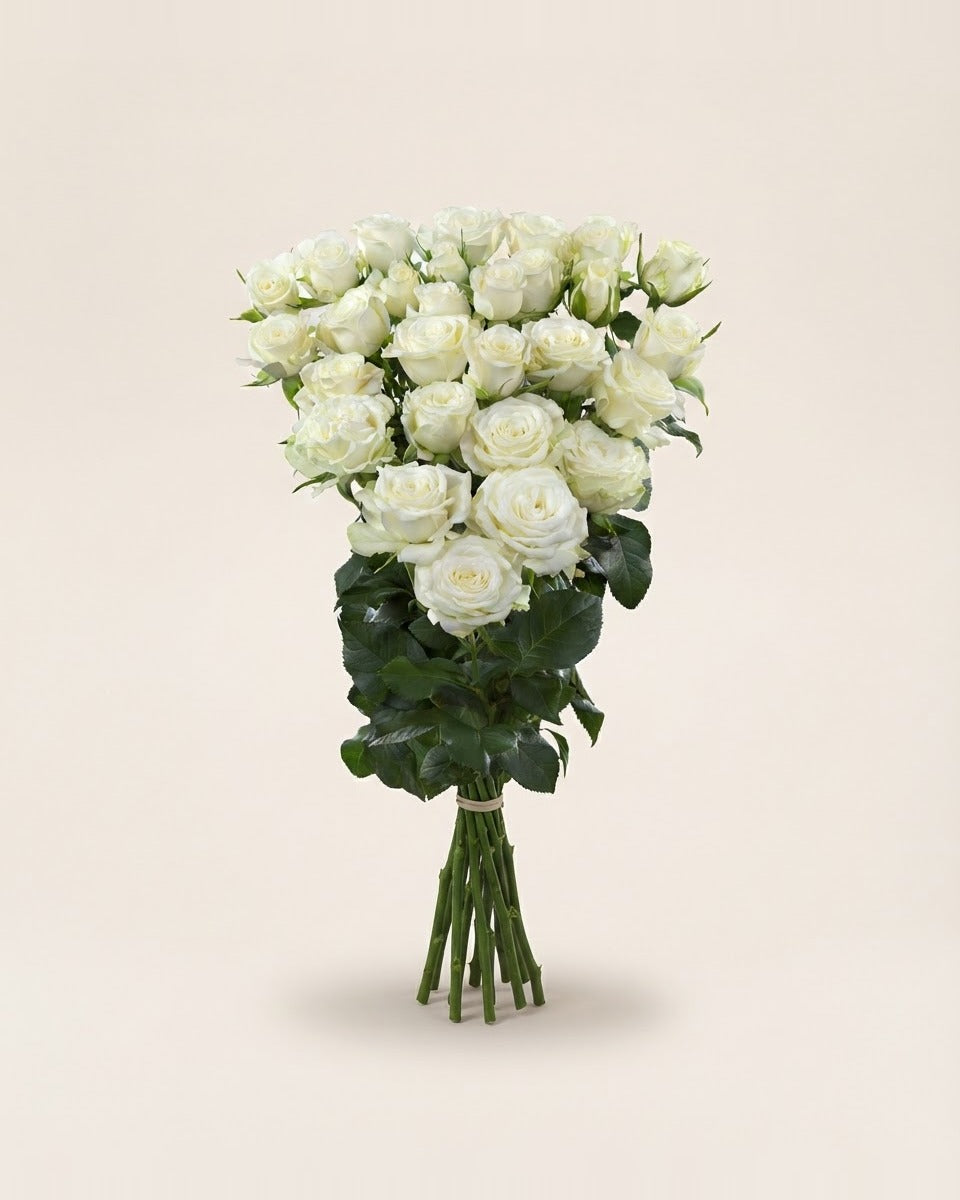 White Spray Roses ورد سبراي أبيض
