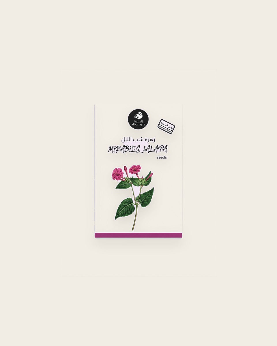 Four O’Clock Flower Seeds بذور زهرة شب الليل