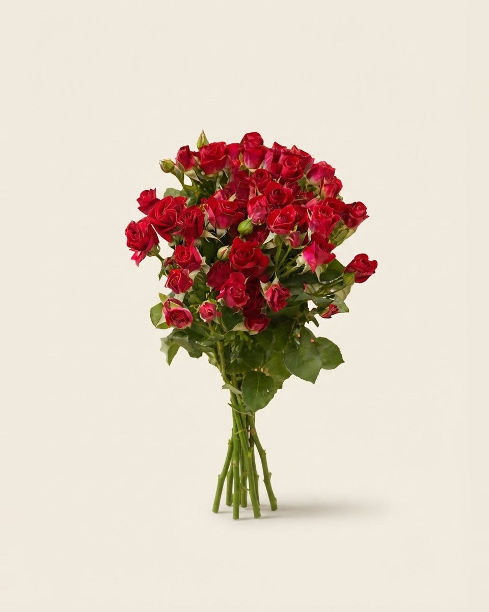 Red Baby Roses — Bunch of 10 Stems ورد أحمر صغير