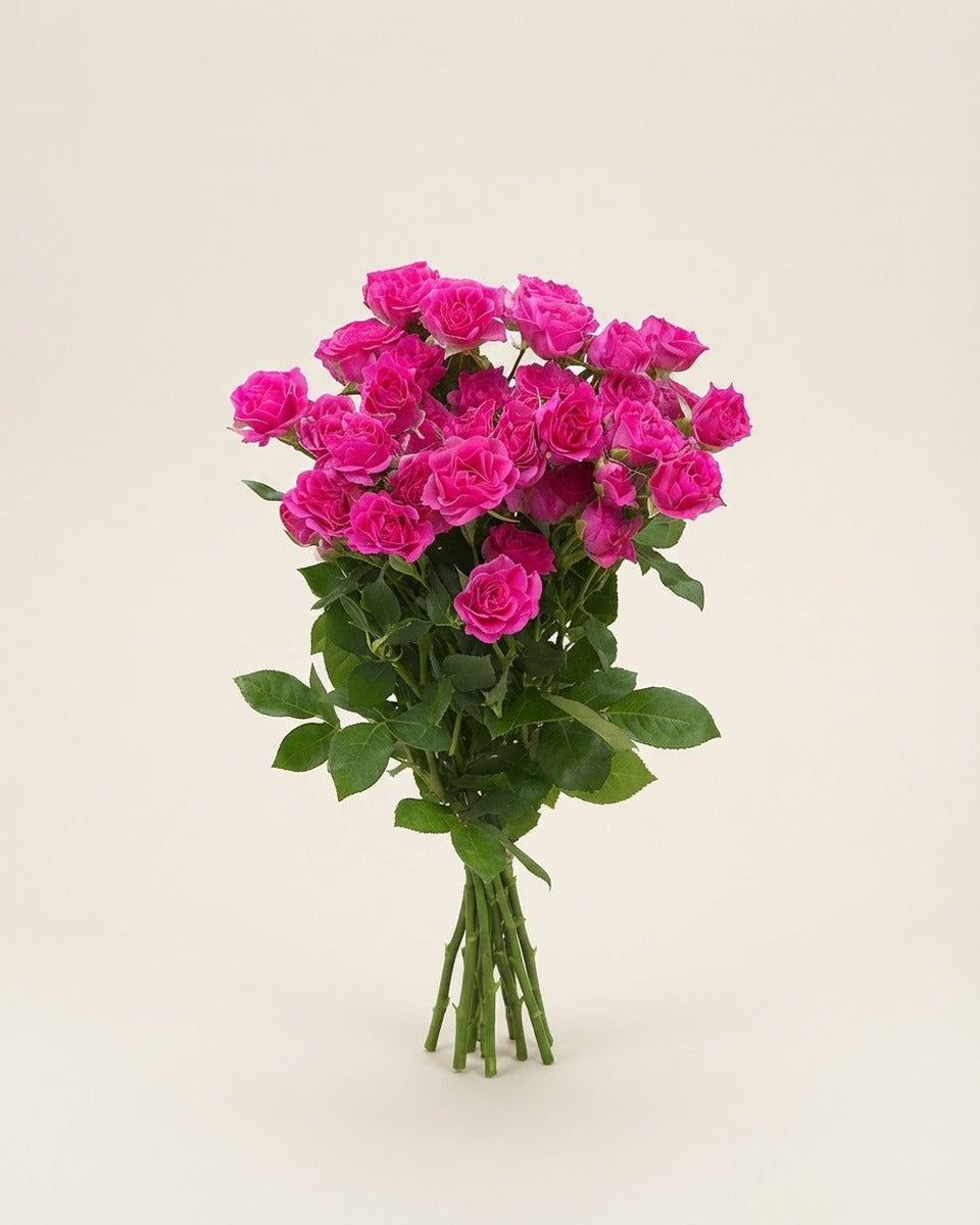 Pink Baby Roses — Bunch of 10 Stems ورد وردي صغير