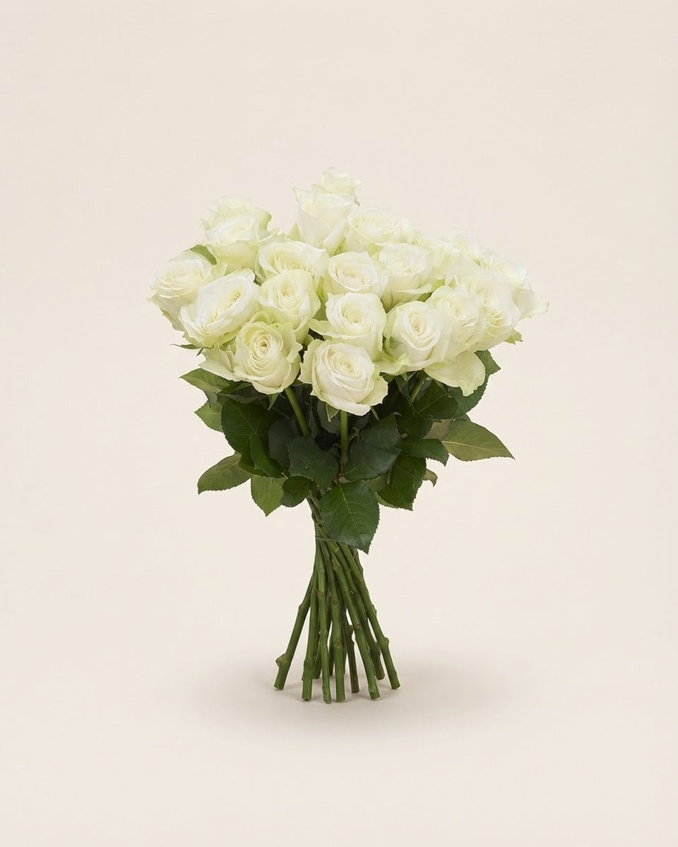 White Roses — Bunch of 20 Stems ورد أبيض