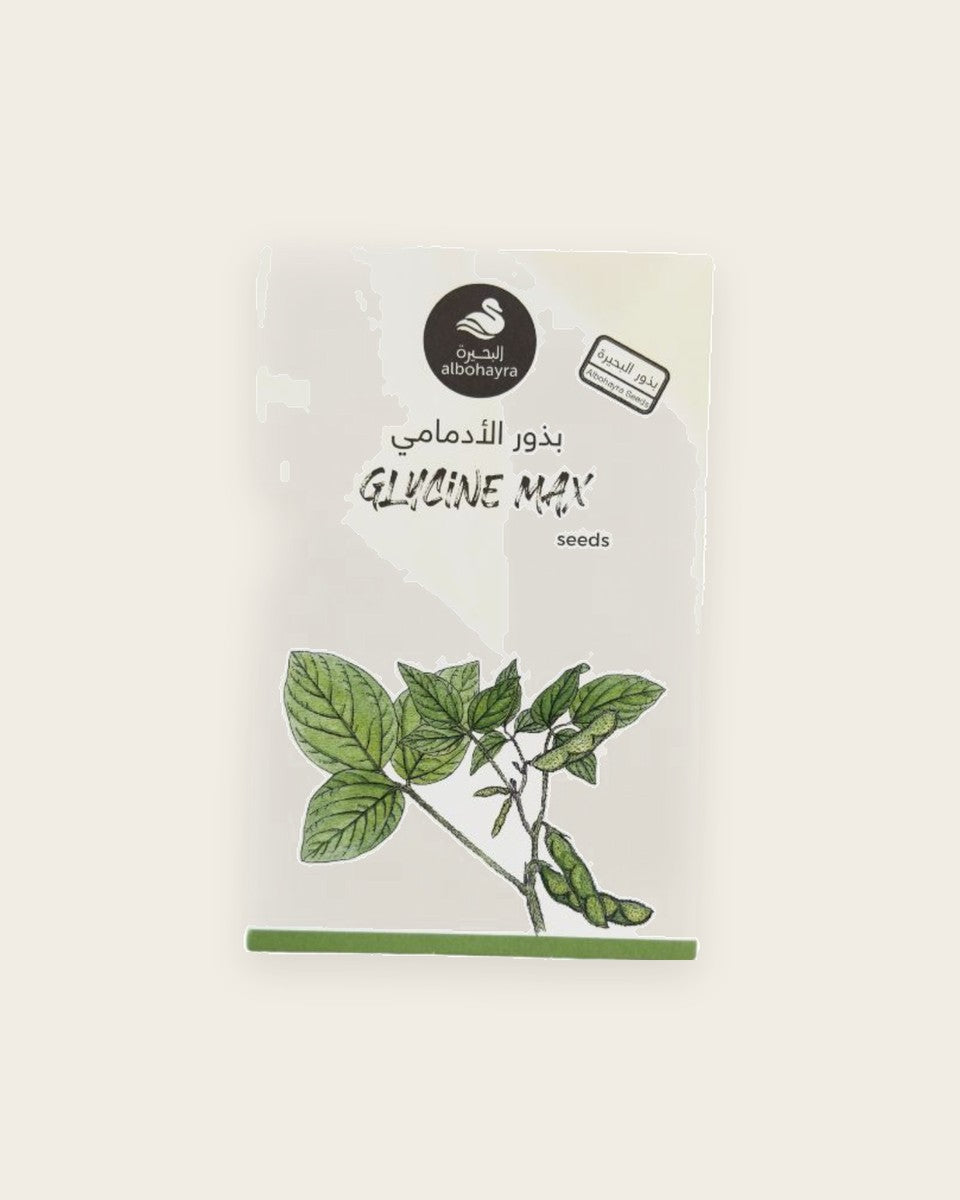 Glycine Max Seeds بذور الادمامي