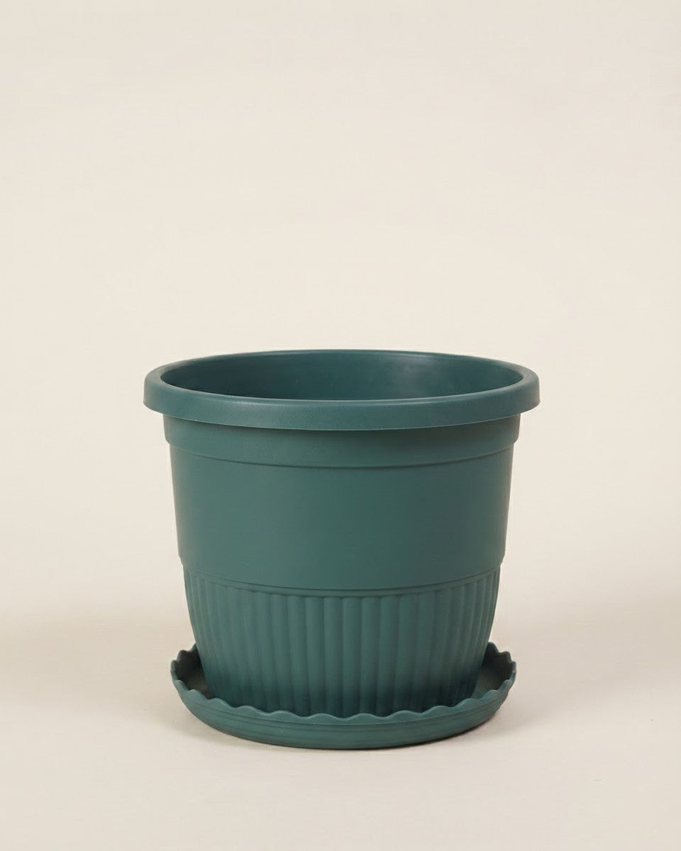 Green Pot with Saucer 14 cm أصيص أخضر مع صحن