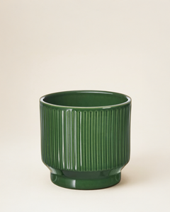 Ridge Planter – Forest Green (12 cm)