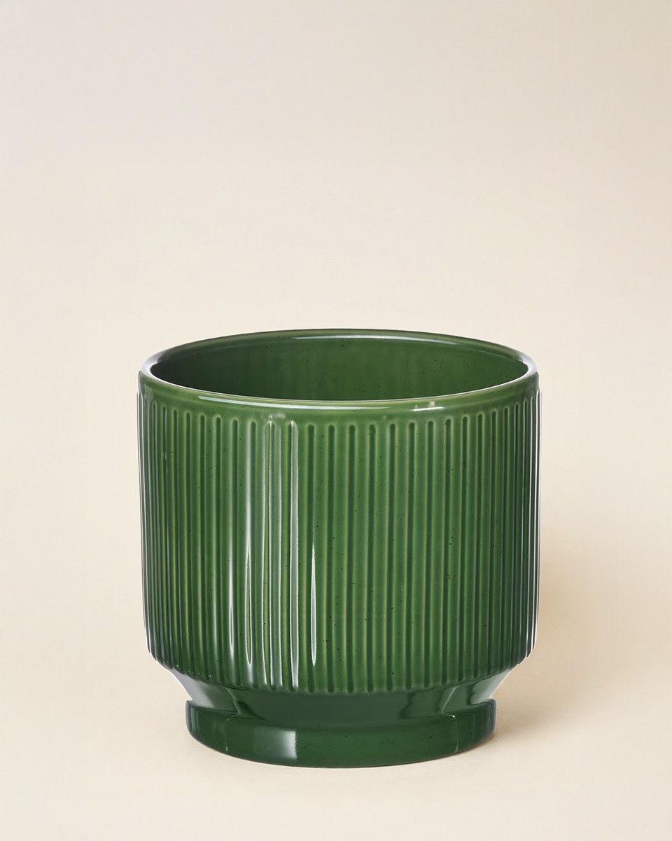 Ridge Planter – Forest Green (15 cm)