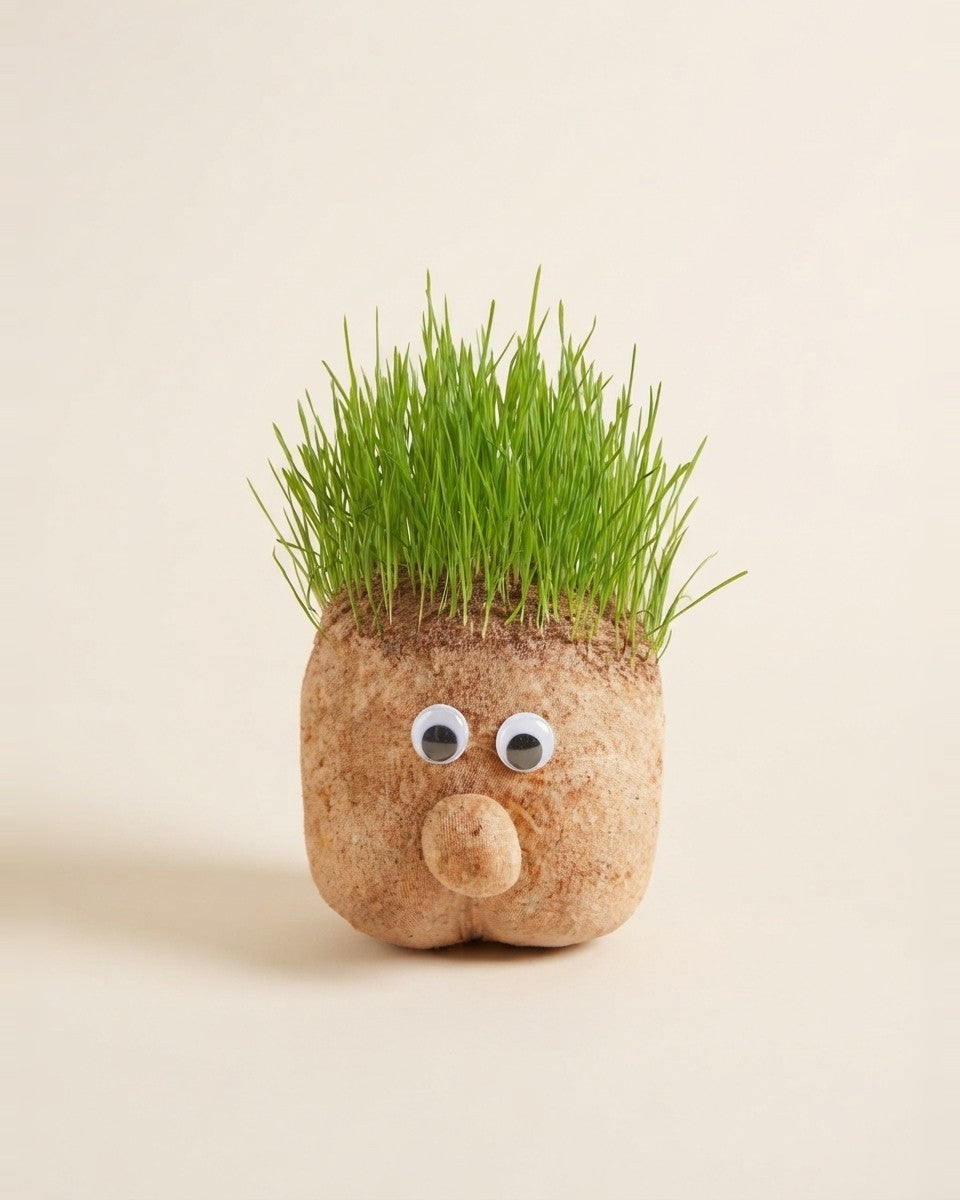 Grow Kit - Baby Boy And Baby Girl
