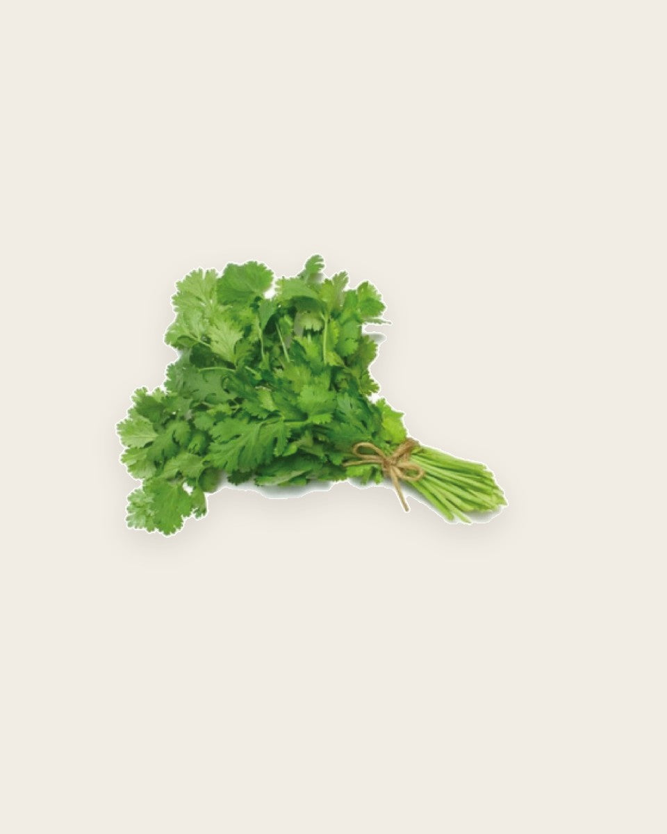 Hasawi Coriander Seeds 15 g كزبرة حساوي