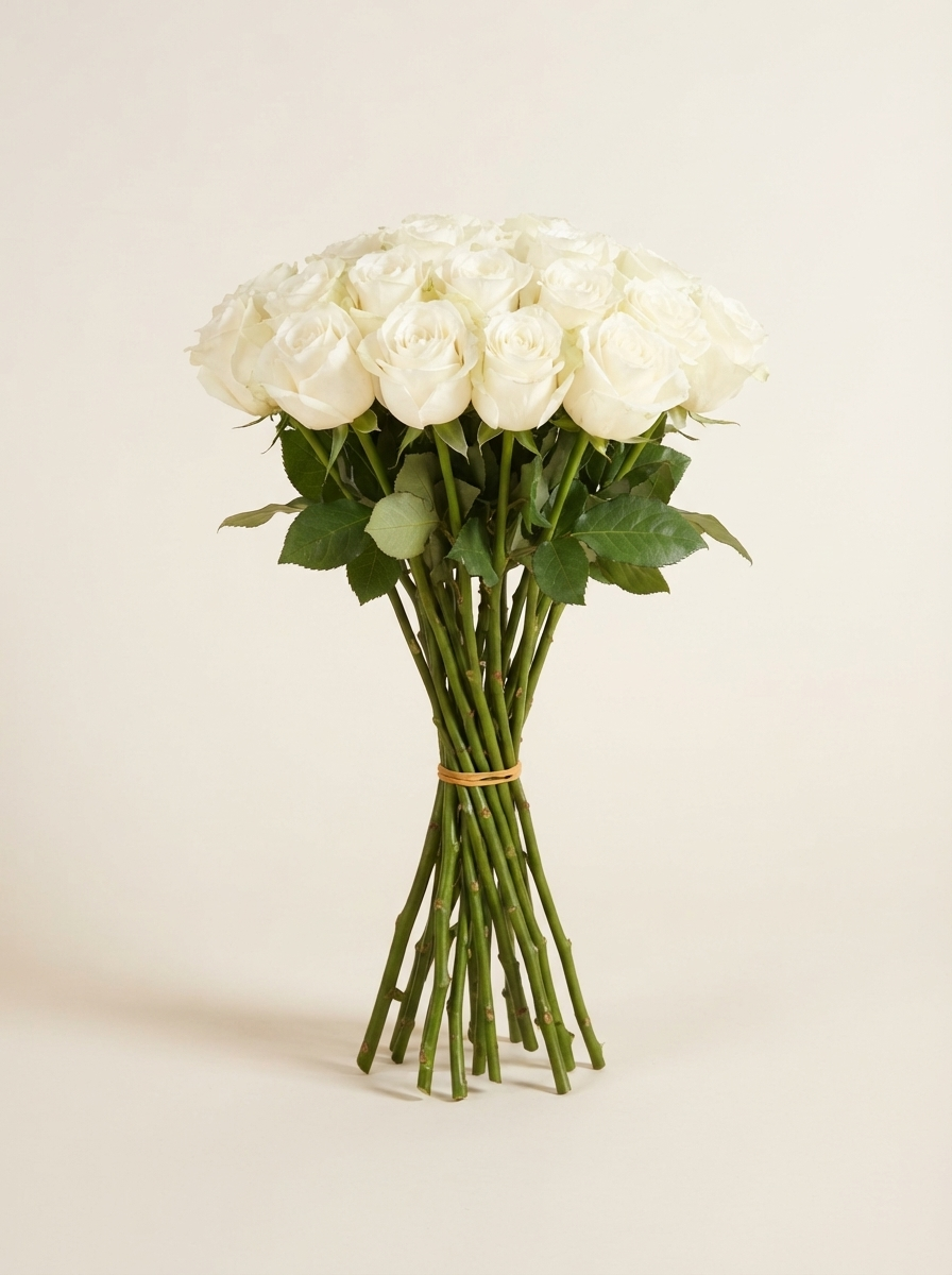 Roses White — wholesale