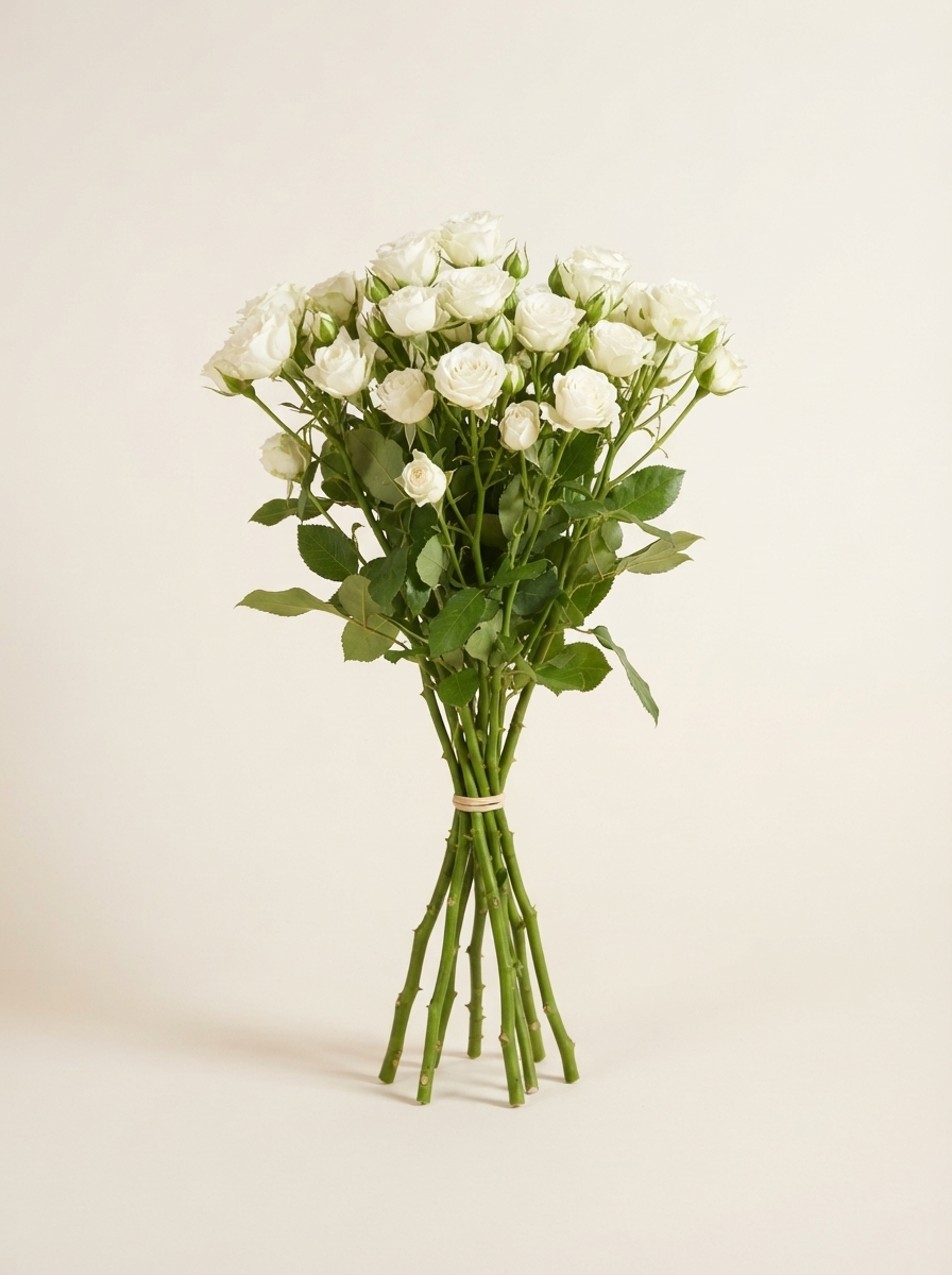 Spray Roses — wholesale bunch of 10 stems