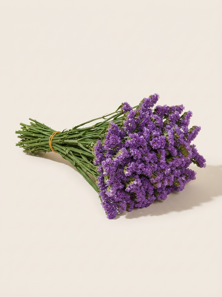 Statice / Limonium — wholesale bunch