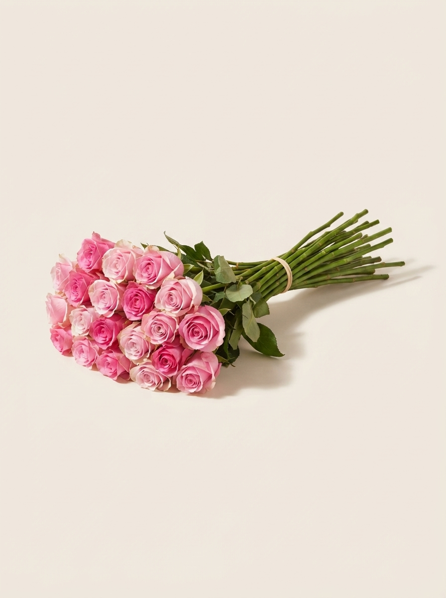 Roses Pink — wholesale bunch of 20 stems