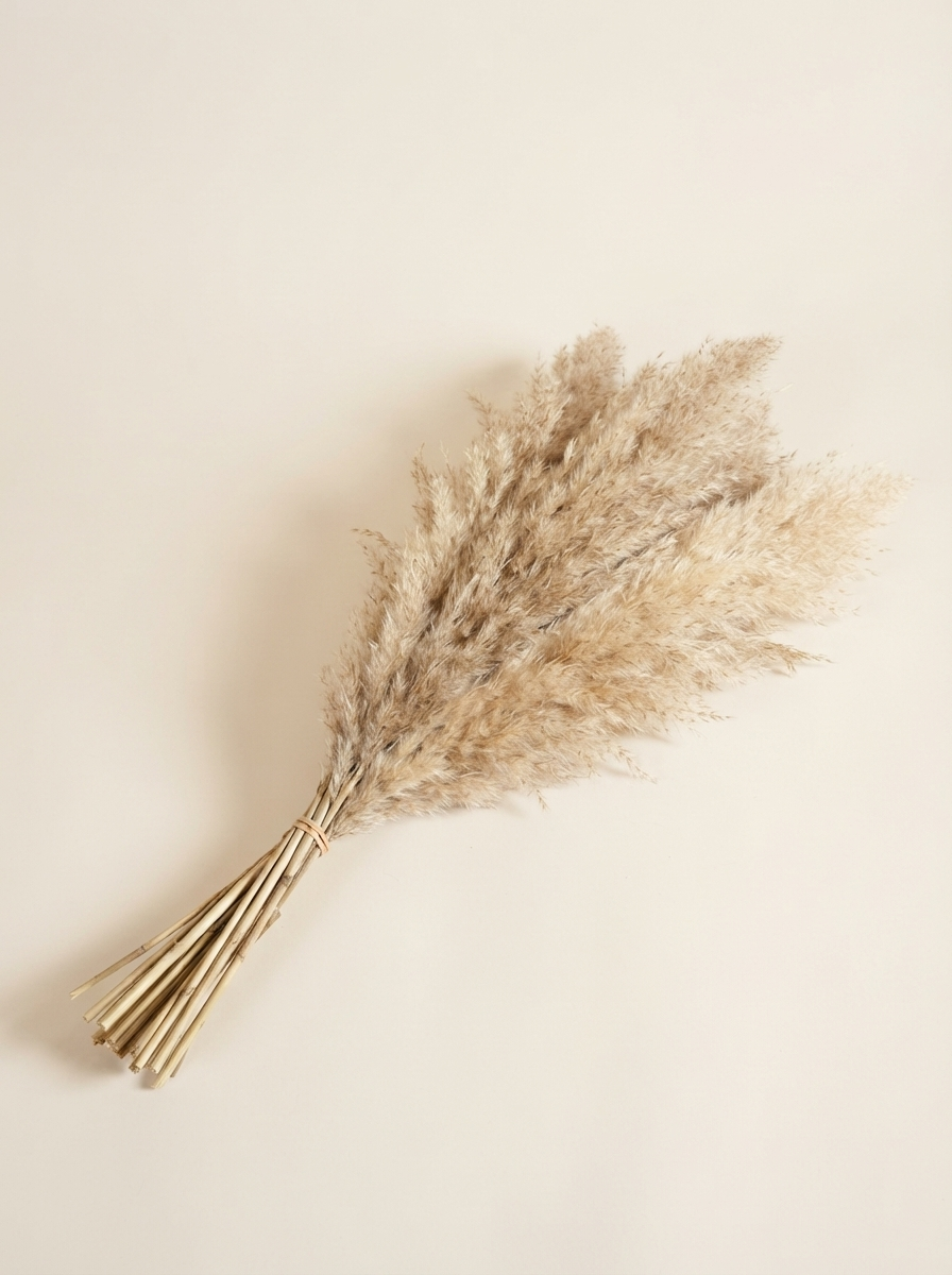 Dried Pampas Grass — wholesale